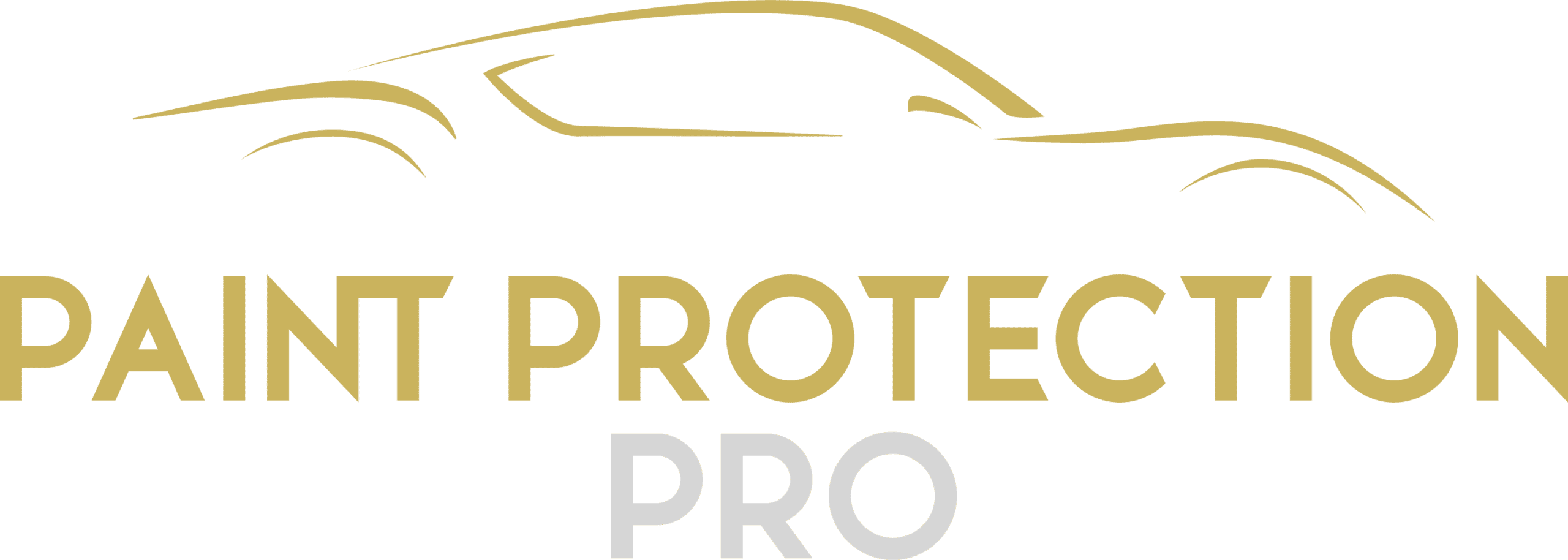 Paint Protection Pro logo